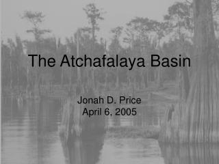 The Atchafalaya Basin
