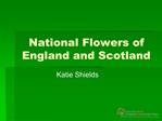 National Flowers of England and Scotland