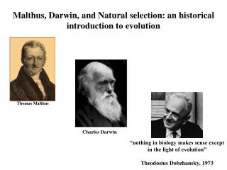 malthus darwin selection natural historical evolution introduction presentation