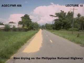 AGEC/FNR 406 LECTURE 10