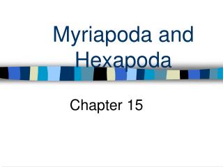 Myriapoda and Hexapoda