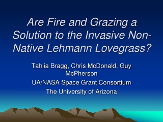 Are Fire and Grazing a Solution to the Invasive Non-Native Lehmann Lovegrass?
