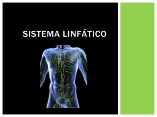 PPT - SISTEMA LINFÁTICO PowerPoint Presentation, Free Download - ID:2092443