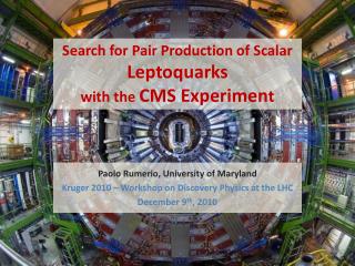 Search for Pair Production of Scalar Leptoquarks with the CMS Experimen t