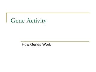 Gene Activity