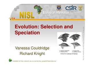 PPT - Evolution: Selection And Speciation PowerPoint Presentation, Free ...