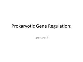 Prokaryotic Gene Regulation: