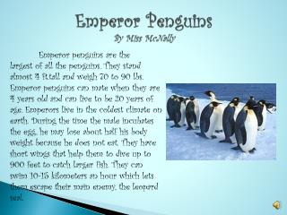 Emperor Penguins By Miss McNally