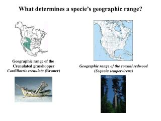 What determines a specie’s geographic range?