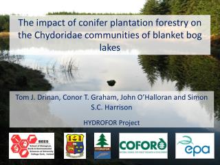 The impact of conifer plantation forestry on the Chydoridae communities of blanket bog lakes