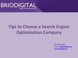 Tips to Choose a Search Engine Optimization Company