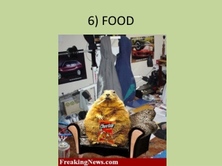 6) FOOD