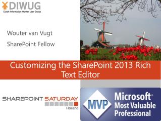 Customizing the SharePoint 2013 Rich Text Editor