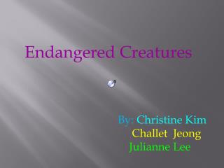 Endangered Creatures
