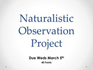 Naturalistic Observation Project