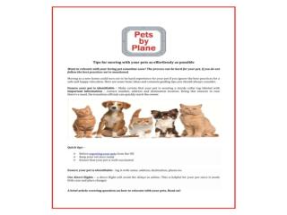 Pet relocation, Export Pets Services, Pet travel specialists