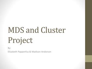MDS and Cluster Project