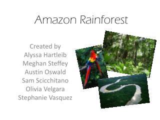 PPT - Amazon Rainforest PowerPoint Presentation, free download - ID:2108318