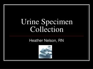 urine collection specimen powerpoint ppt presentation