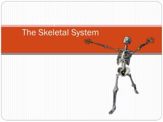 Chapter 5e: The Skeletal System