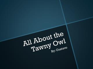 All About the Tawny O wl