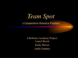 Team Spot A Cooperative Robotics Problem