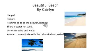 Beautiful Beach By Katelyn
