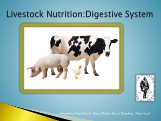 Livestock Nutrition:Digestive System