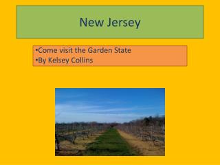 New Jersey