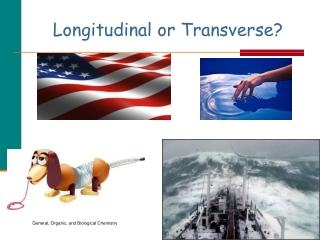 Longitudinal or Transverse?