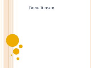 Bone Repair