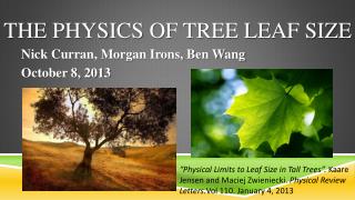 THE PHYSICS OF TREE LEAF SIZE