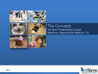 The Concepts Vet-Stem Credentialing Course Veterinary Regenerative Medicine 101