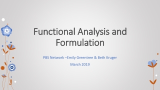Functional Analysis and Formulation