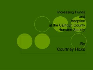 Increasing Funds and Adoption at the Calhoun County Humane Society