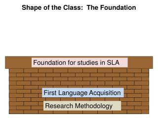 Shape of the Class: The Foundation
