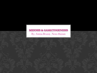 Meiosis & Gametogenesis
