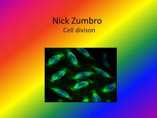 Nick Zumbro