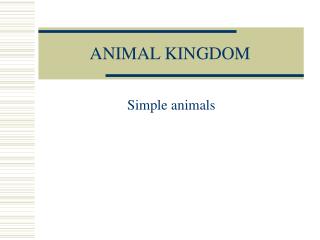 ANIMAL KINGDOM