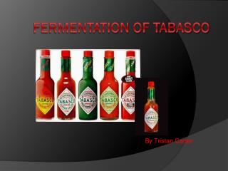 Fermentation of Tabasco