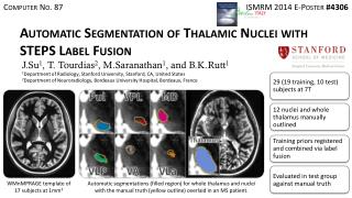 Automatic Segmentation of Thalamic Nuclei with STEPS Label Fusion
