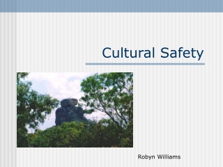 Cultural Safety