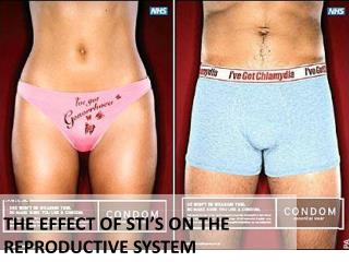 The Effect of STI’s on the Reproductive System