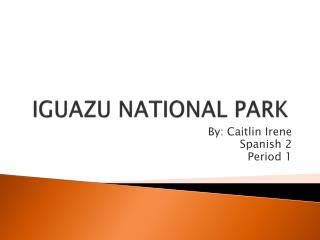 IGUAZU NATIONAL PARK