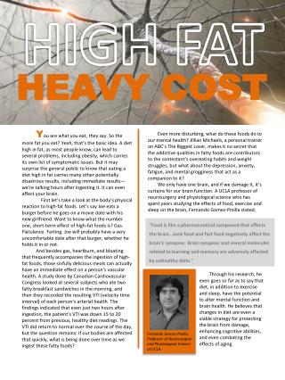 HIGH FAT