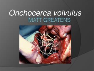 Matt Greatens