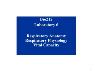 Bio212 Laboratory 6 Respiratory Anatomy Respiratory Physiology Vital Capacity