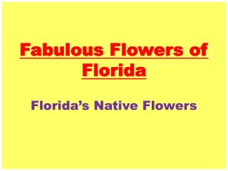 Fabulous Flowers of Florida