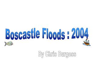 Boscastle Floods : 2004