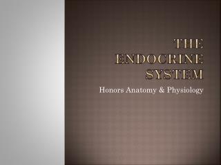 The endocrine system